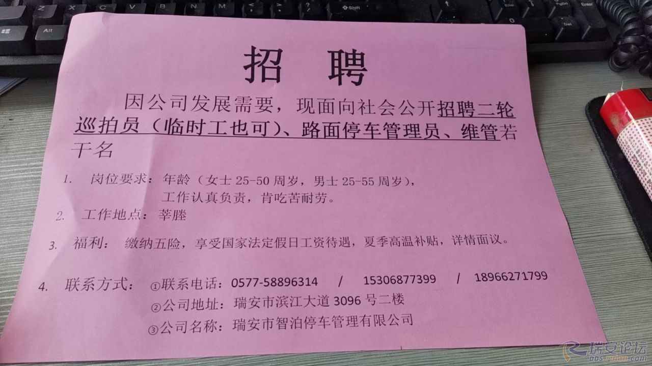 遂溪最新招聘臨時工信息及其相關(guān)概述，遂溪最新臨時工招聘信息概覽