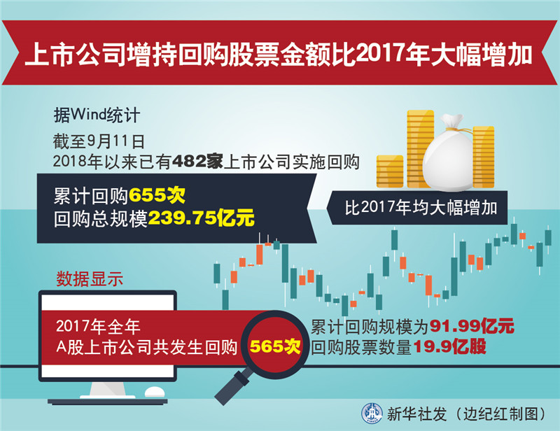 股票增持，策略、影響與考量因素，股票增持策略，影響因素與考量因素深度解析