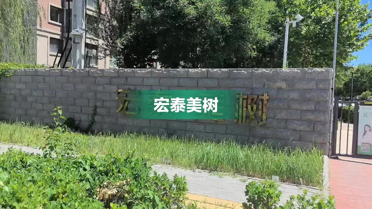 宏泰美樹最新房價動態(tài)，市場走勢與購房指南，宏泰美樹房價最新動態(tài)，市場走勢分析與購房指南發(fā)布