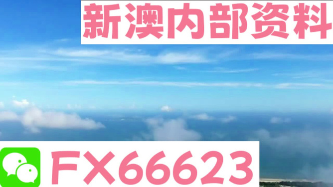 新澳2024正版資料免費(fèi)公開，探索與啟示，新澳2024正版資料探索與啟示，免費(fèi)公開內(nèi)容揭秘