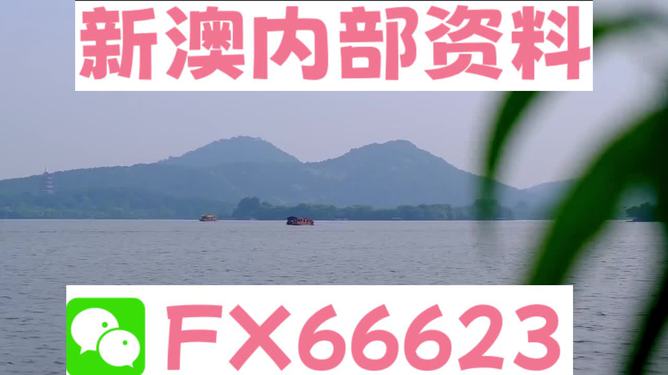 新澳2024正版資料免費(fèi)公開，探索與啟示，新澳2024正版資料探索與啟示，免費(fèi)公開內(nèi)容揭秘