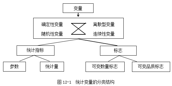 澳門江左梅郎免費資料,統(tǒng)計分析解釋定義_SHD55.618