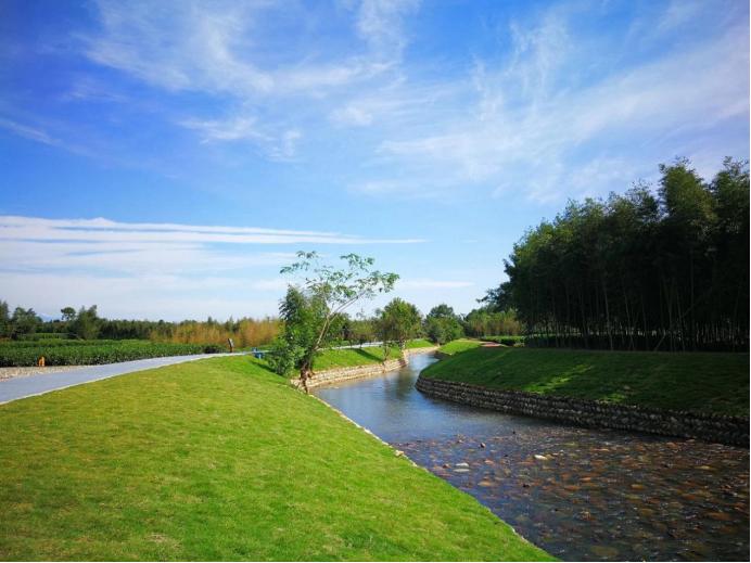 熊貓公園的最新消息，探索自然與文化的融合之旅，熊貓公園最新動態(tài)，自然與文化融合之旅探索