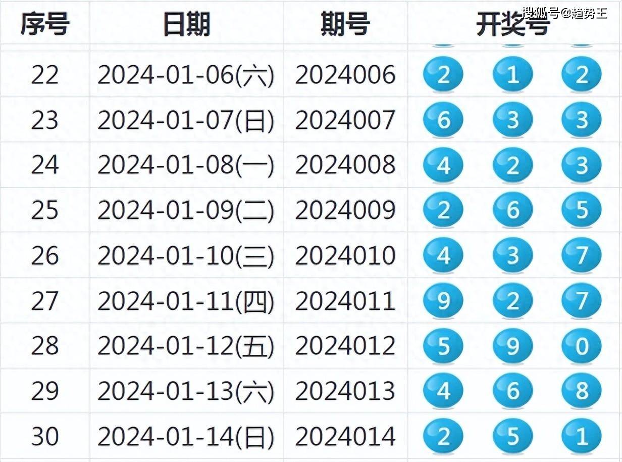 2024新奧彩開獎結果記錄,實地調(diào)研解釋定義_tShop12.526