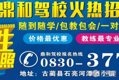 龍崗坑梓最新招聘司機信息，探索職業(yè)發(fā)展的無限可能，龍崗坑梓最新司機招聘信息，職業(yè)發(fā)展的無限機遇探索