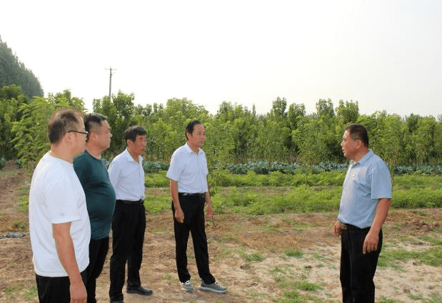 館陶合作社最新消息，推動(dòng)農(nóng)業(yè)現(xiàn)代化與地方經(jīng)濟(jì)繁榮的新動(dòng)力，館陶合作社最新動(dòng)態(tài)，推動(dòng)農(nóng)業(yè)現(xiàn)代化與地方經(jīng)濟(jì)繁榮的新引擎