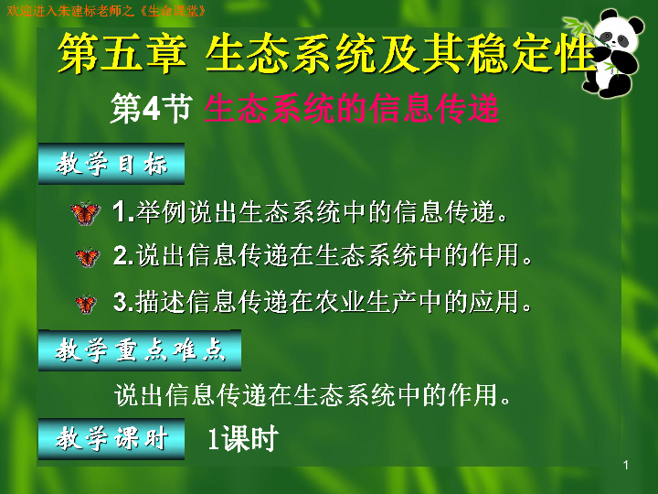 生態(tài)革命的新篇章，生態(tài)5重組的最新消息，生態(tài)革命新篇章揭秘，生態(tài)5重組最新動態(tài)