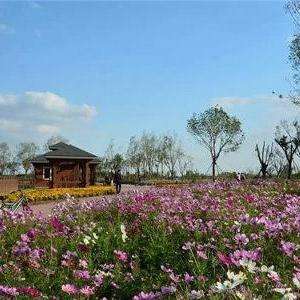 官港森林公園最新消息，官港森林公園最新動(dòng)態(tài)報(bào)道