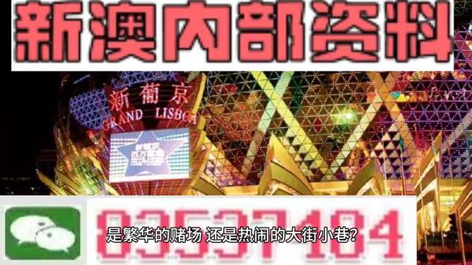 警惕新澳門精準資料大全管家婆料——揭示其背后的犯罪風險，警惕新澳門精準資料大全管家婆料背后的犯罪風險，揭露真相！