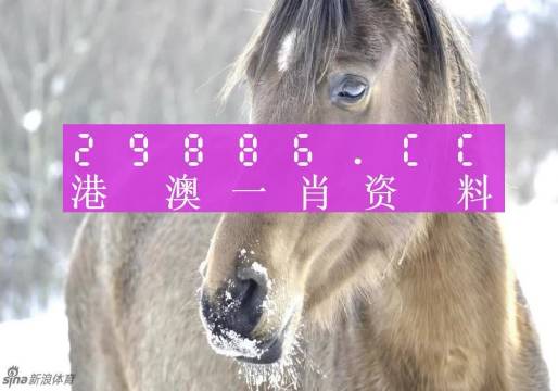 澳門精準(zhǔn)一肖一碼，揭秘背后的犯罪問題，澳門精準(zhǔn)一肖一碼，犯罪問題揭秘