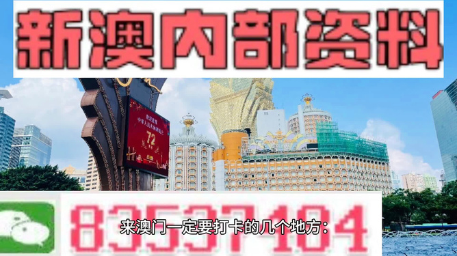 警惕新澳新澳門正版資料的潛在風(fēng)險——關(guān)于違法犯罪問題的探討，警惕新澳新澳門正版資料的潛在風(fēng)險，深入解析違法犯罪問題