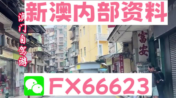 新奧精準(zhǔn)免費(fèi)資料提供，探索與啟示，新奧精準(zhǔn)免費(fèi)資料探索，啟示與分享