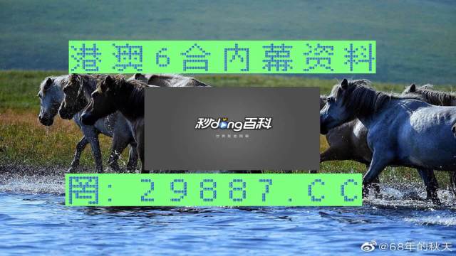 澳門馬買馬網(wǎng)站com,動態(tài)詞匯解析_粉絲版17.330