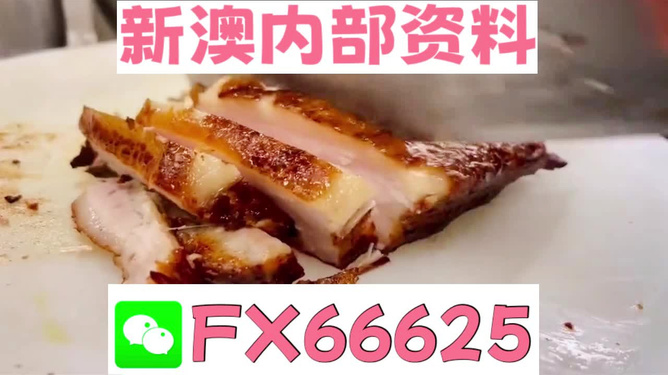 新奧長(zhǎng)期免費(fèi)資料大全，探索與啟示，新奧長(zhǎng)期免費(fèi)資料大全，深度探索與啟示