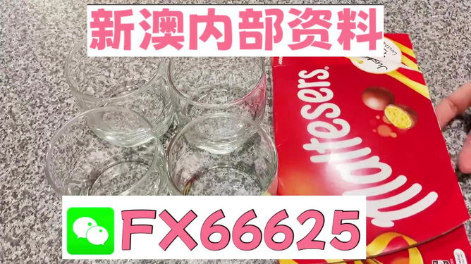 澳門正版資料免費大全新聞——警惕違法犯罪風(fēng)險，澳門正版資料免費大全新聞需警惕潛在違法犯罪風(fēng)險