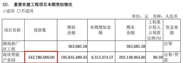 海欣股份目標(biāo)價(jià)30元的投資邏輯與市場(chǎng)展望，海欣股份目標(biāo)價(jià)30元，投資邏輯與市場(chǎng)展望分析