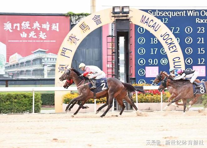 澳門賽馬會，歷史、文化與競技的交融，澳門賽馬會，歷史、文化與競技的璀璨交融