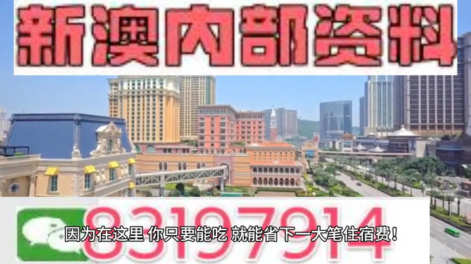 2024新澳門精準(zhǔn)資料免費提供,前沿說明解析_MT13.956