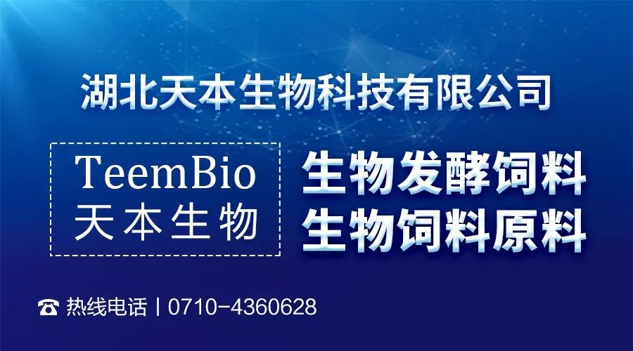 掌握最新情況，與時俱進的關鍵所在，掌握最新情況，與時俱進的關鍵所在