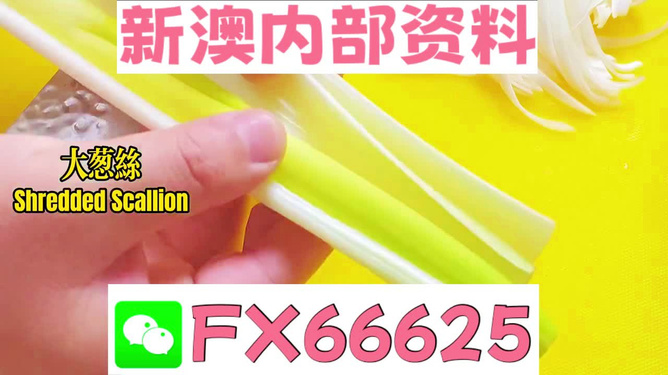 澳門正版資料免費大全新聞，揭示違法犯罪問題的重要性與應(yīng)對之道，澳門正版資料免費大全新聞，違法犯罪問題的應(yīng)對之道與重要性揭秘