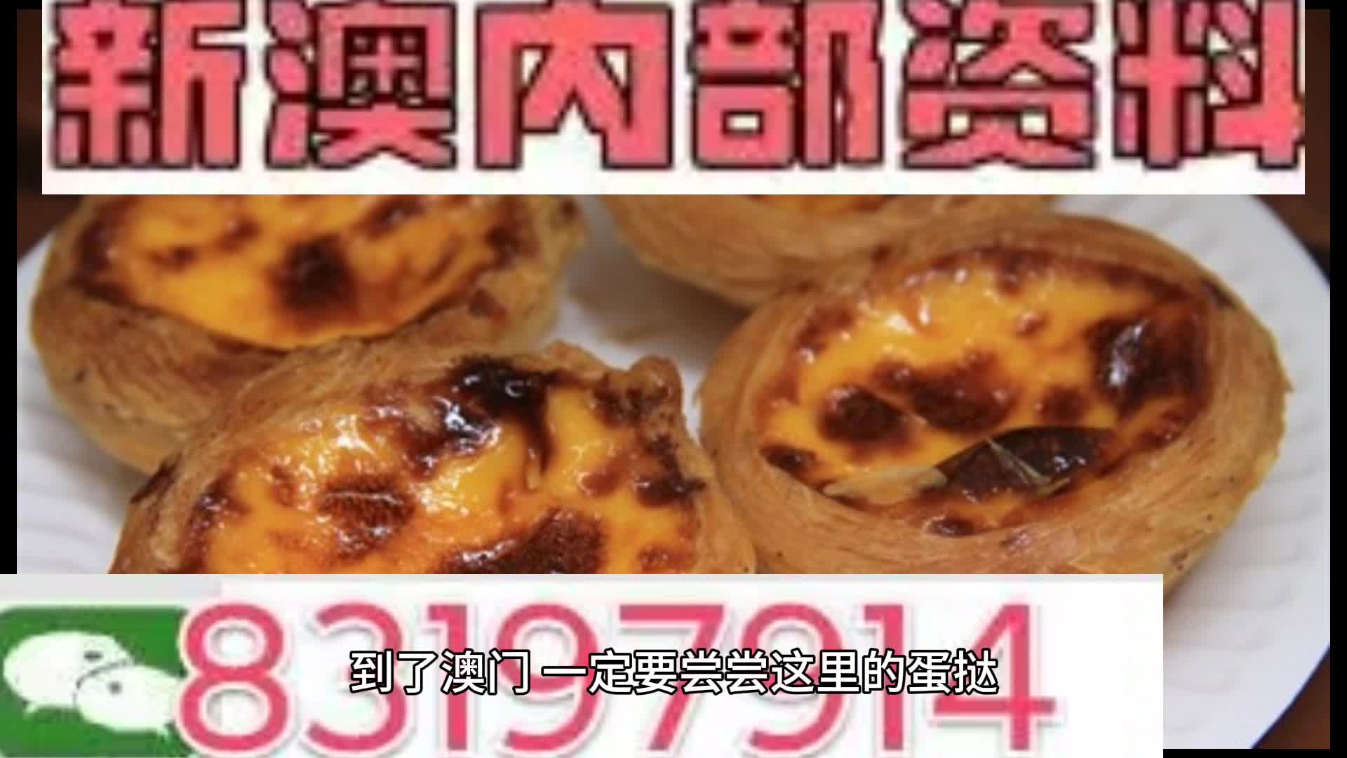 探索未來，2024年新奧梅特免費資料大全，探索未來，2024年新奧梅特免費資料大全全解析