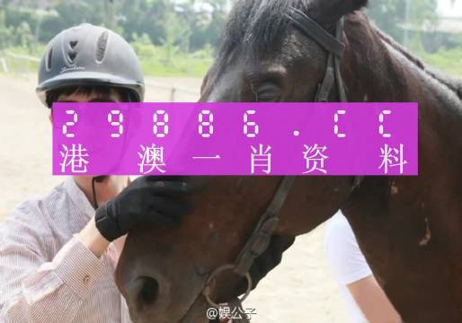 財經(jīng) 第942頁