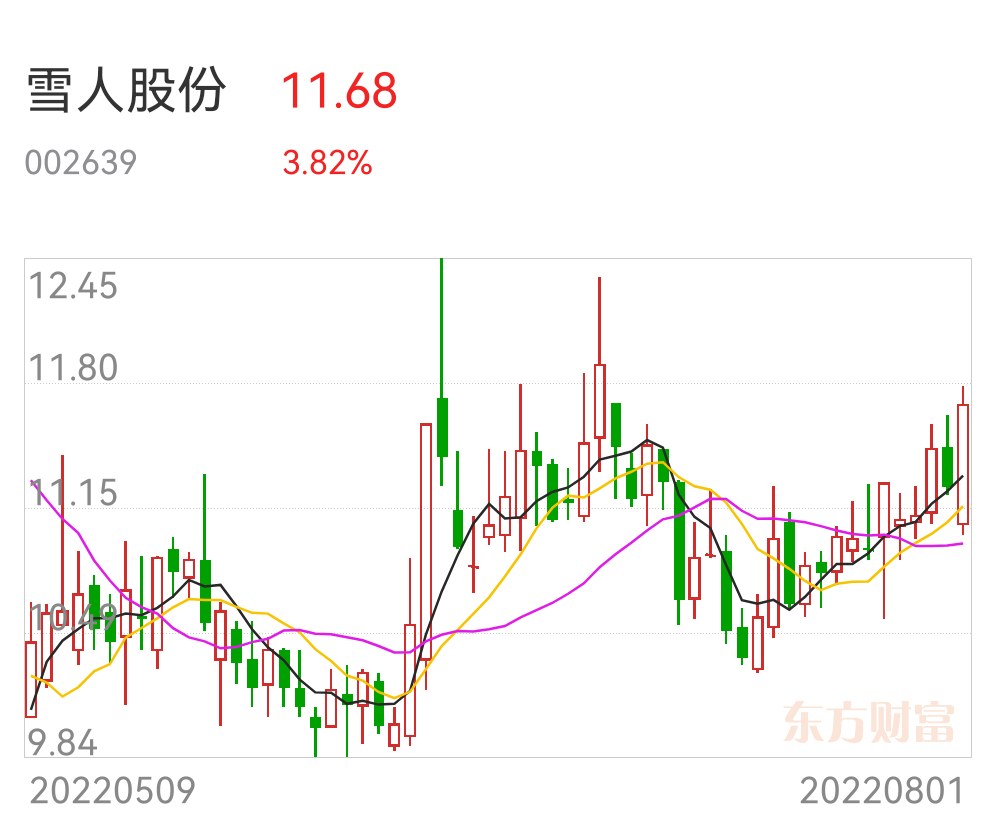 雪人股份可能面臨收購，機(jī)遇與挑戰(zhàn)并存，雪人股份面臨收購，機(jī)遇與挑戰(zhàn)并存