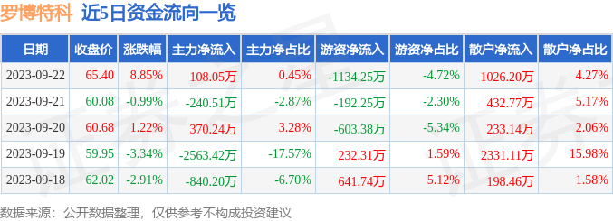 羅博特科，未來能否成為十倍牛股？，羅博特科，未來能否成為十倍增長潛力股？