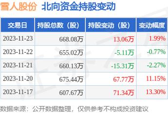 雪人股份目標價2024年，深度分析與展望，雪人股份2024年目標價深度分析與展望