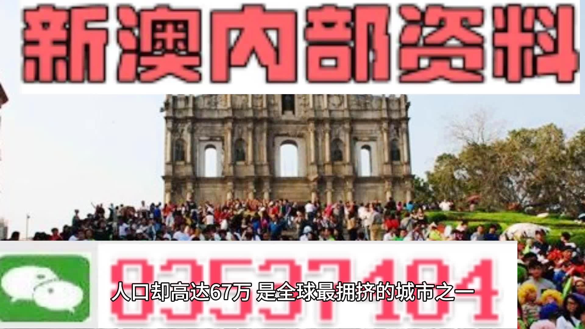 新澳門免費全年資料查詢，探索與解析，澳門免費資料查詢的風險與解析，犯罪行為的警示探究