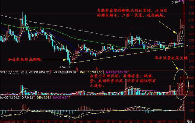 揭秘未來(lái)潛力股，2025年有望翻十倍的股票，揭秘未來(lái)十倍潛力股，展望2025年的翻倍機(jī)會(huì)