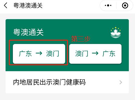 澳門碼資料與違法犯罪問題，澳門碼資料與違法犯罪問題探究