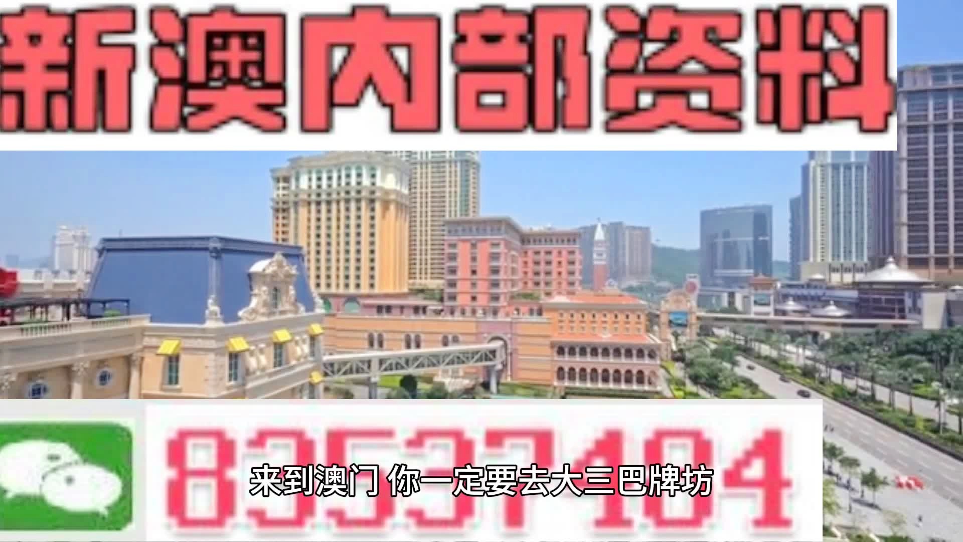 關于新澳門資料雞號的探討與警示——警惕違法犯罪行為，澳門雞號探討，警惕違法犯罪行為警示揭秘