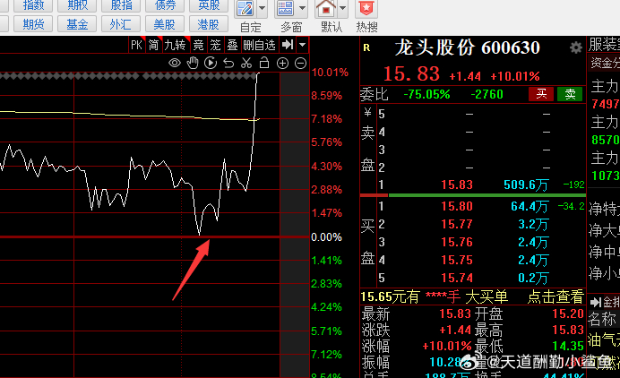 起重龍頭002523，行業(yè)翹楚的崛起之路，起重龍頭002523，行業(yè)翹楚的崛起軌跡