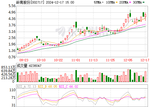 嶺南股份的麻煩事，挑戰(zhàn)與機(jī)遇并存，嶺南股份面臨挑戰(zhàn)與機(jī)遇并存的發(fā)展局面