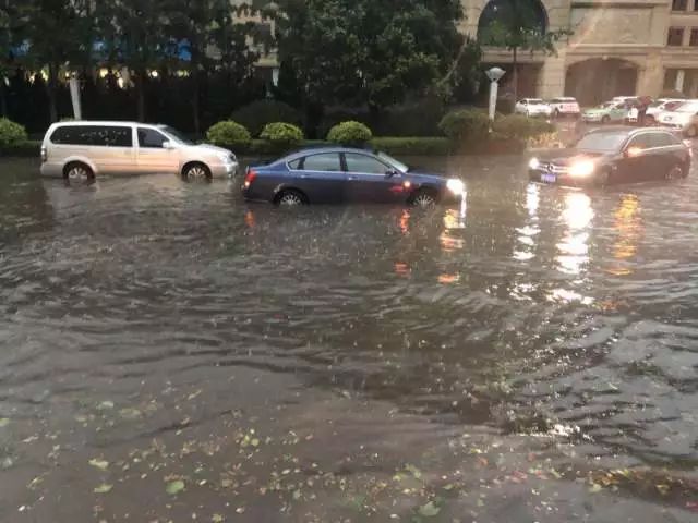 青島大暴雨最新情況報(bào)告，青島大暴雨最新情況報(bào)告，暴雨影響及應(yīng)對(duì)措施分析