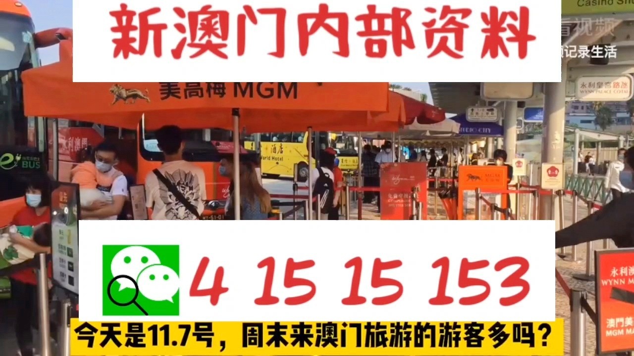 警惕新澳門一肖一碼中特的潛在風(fēng)險——遠離賭博犯罪，警惕新澳門一肖一碼中特，遠離賭博犯罪風(fēng)險