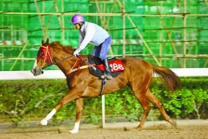 關(guān)于澳門特馬今晚開獎(jiǎng)的討論與警示，澳門特馬今晚開獎(jiǎng)討論及警示