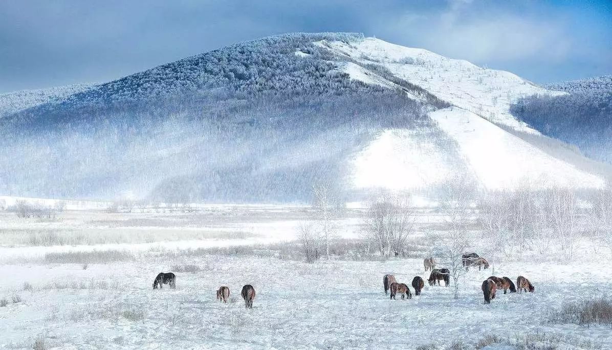 國內(nèi)哪里雪景最美——探尋中國最美的雪景勝地，中國最美的雪景勝地探尋之旅