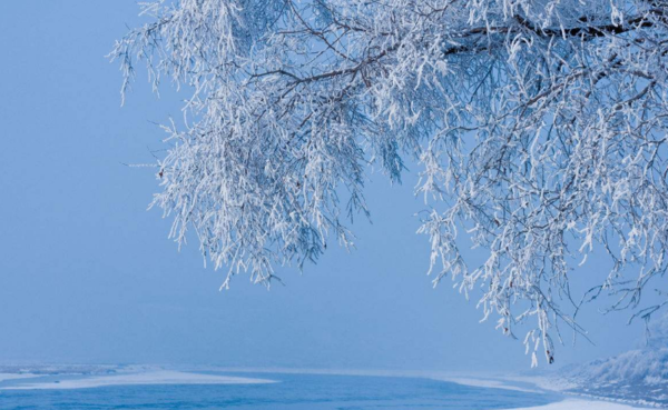 哪里可以看雪，一場關(guān)于雪景的探尋之旅，雪景探尋之旅，踏遍千山萬水只為那一場雪的美景