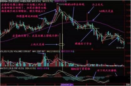 中國最具長期投資價值的股票，中國長期投資價值的優(yōu)質(zhì)股票