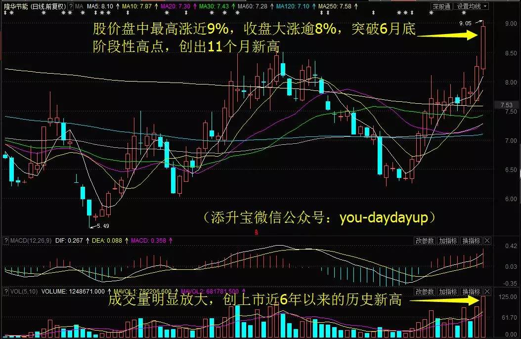 贏時勝漲停背后的原因深度解析，贏時勝漲停背后的原因深度探究