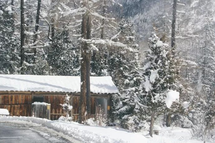 國內玩雪地方推薦，盡享雪域魅力之旅，雪域魅力之旅，國內最佳玩雪地點推薦