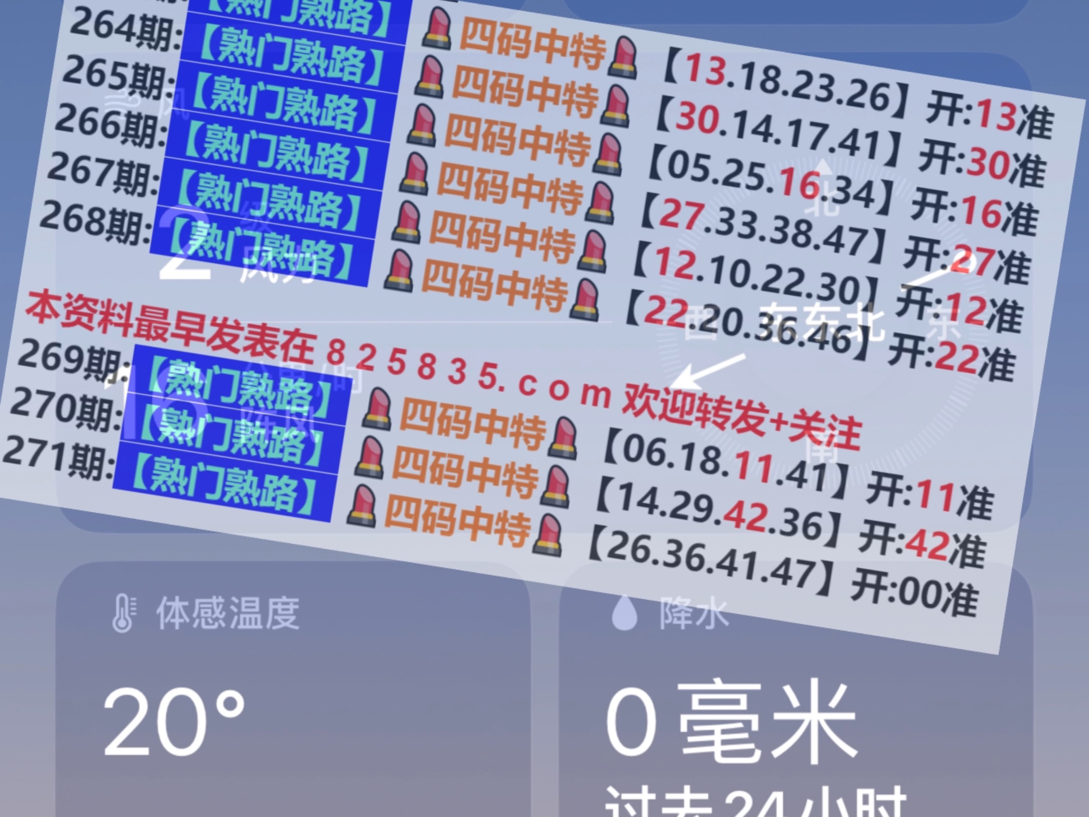 新2024澳門兔費(fèi)資料，探索與期待，探索與期待，新2024澳門兔費(fèi)資料揭秘