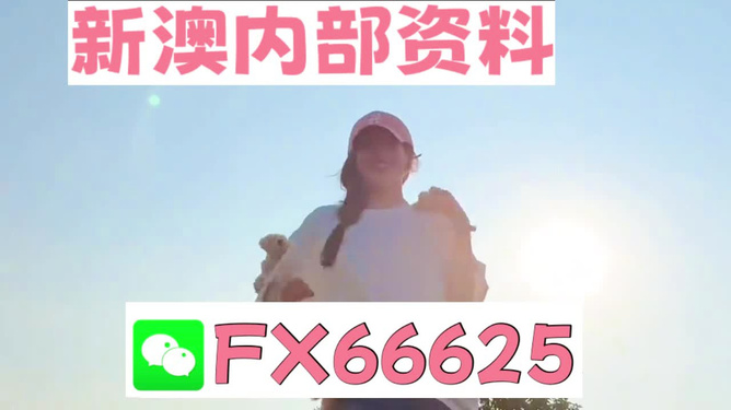 揭秘彩票背后的神秘數(shù)字，精準(zhǔn)一肖與數(shù)字組合的魅力，彩票背后的神秘數(shù)字揭秘，精準(zhǔn)一肖與數(shù)字組合的魅力探索