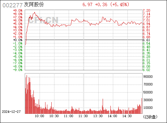 友阿股份，商業(yè)領(lǐng)域的卓越典范，友阿股份，商業(yè)領(lǐng)域的璀璨明珠