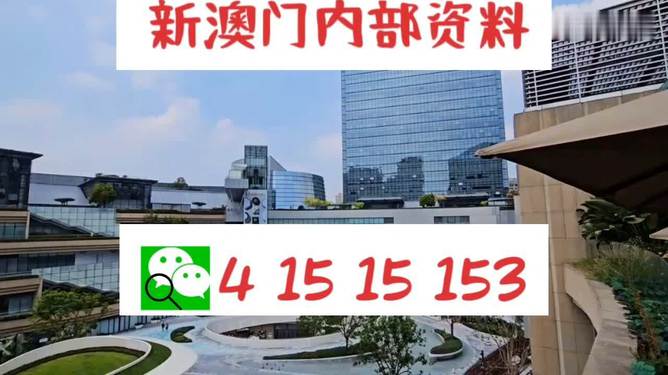 新澳門單雙王，游戲魅力與策略探討，澳門單雙王游戲魅力與策略解析