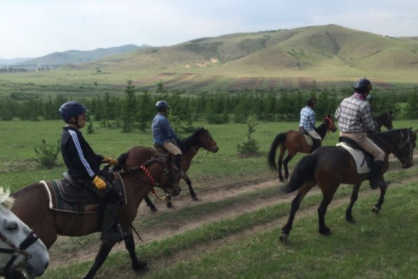 澳門特馬今晚開獎，探尋彩票背后的故事與期待，澳門特馬今晚開獎，探尋彩票背后的故事與期待之夜