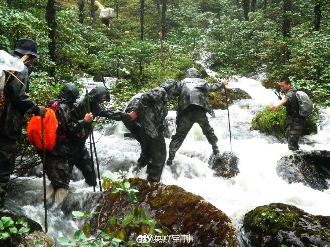 央廣軍事，權(quán)威軍事媒體的級(jí)別與影響力，央廣軍事，權(quán)威軍事媒體的級(jí)別與影響力概述