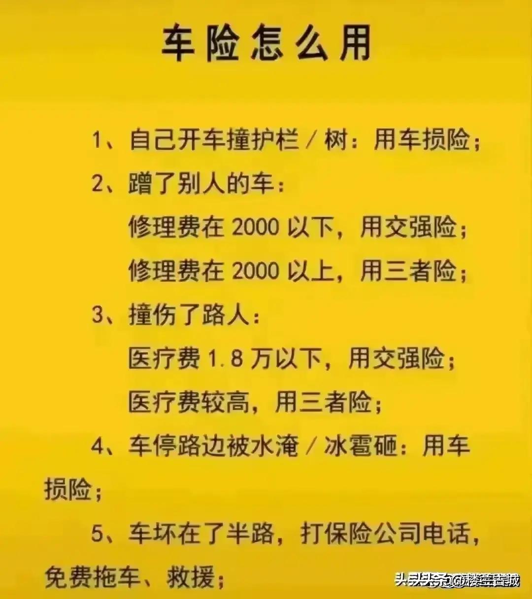 參考消息數(shù)字報(bào)，重塑新聞行業(yè)的數(shù)字化先鋒，重塑新聞行業(yè)先鋒，數(shù)字化引領(lǐng)下的參考消息數(shù)字報(bào)時(shí)代